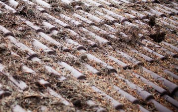 Pamber Green roof cleaning companies