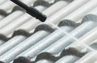 rated Pamber Green roof cleaning companies