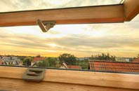 rated Pamber Green roof window companies